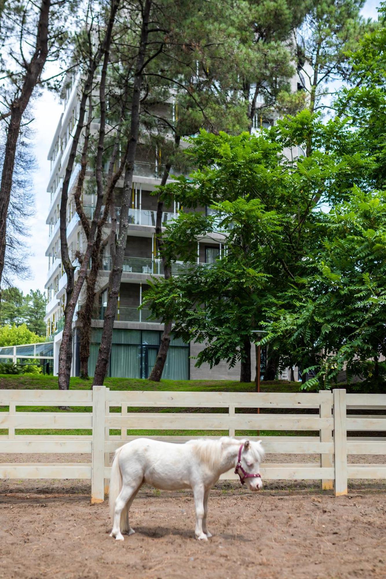 Magnika Resort 셰크베틸리 외부 사진