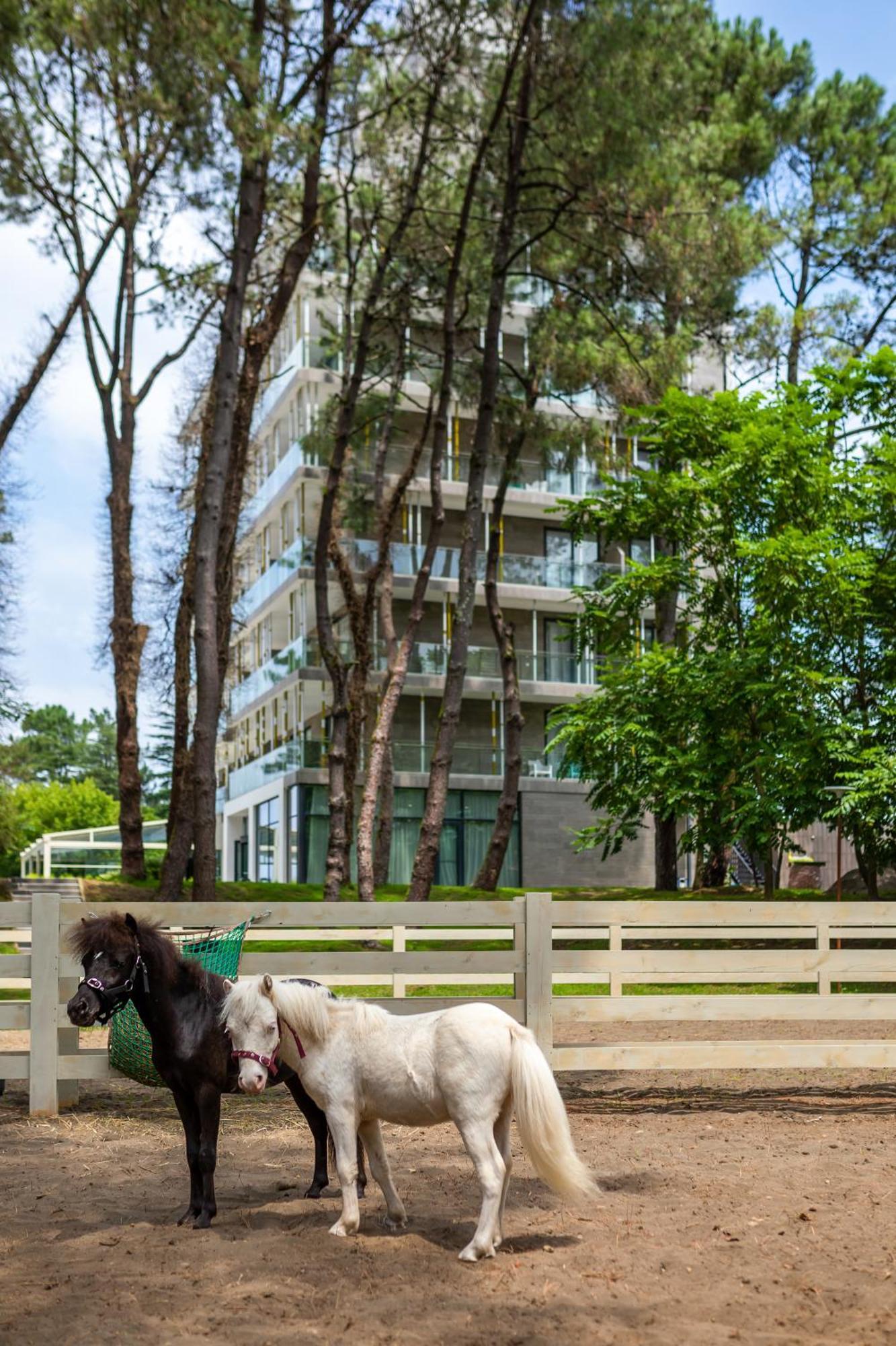 Magnika Resort 셰크베틸리 외부 사진